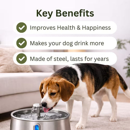4L wooflow Fountain